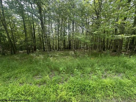 85 Lakeview Drive Terra Alta WV 26764