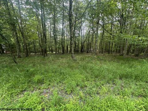 85 Lakeview Drive Terra Alta WV 26764
