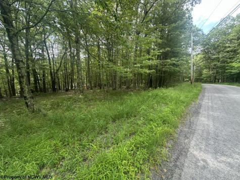 85 Lakeview Drive Terra Alta WV 26764