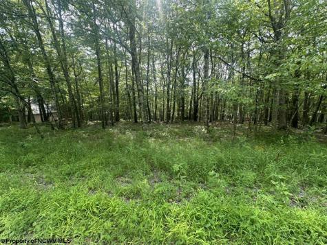 85 Lakeview Drive Terra Alta WV 26764