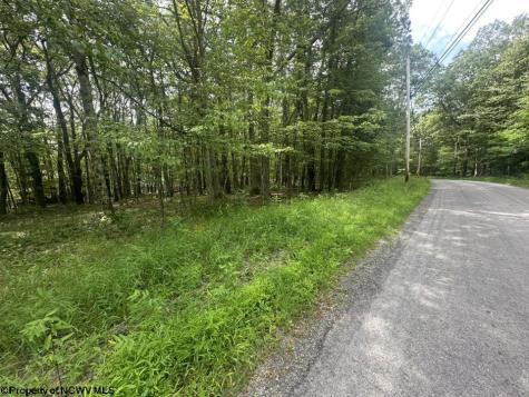 85 Lakeview Drive Terra Alta WV 26764