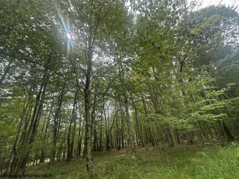 85 Lakeview Drive Terra Alta WV 26764