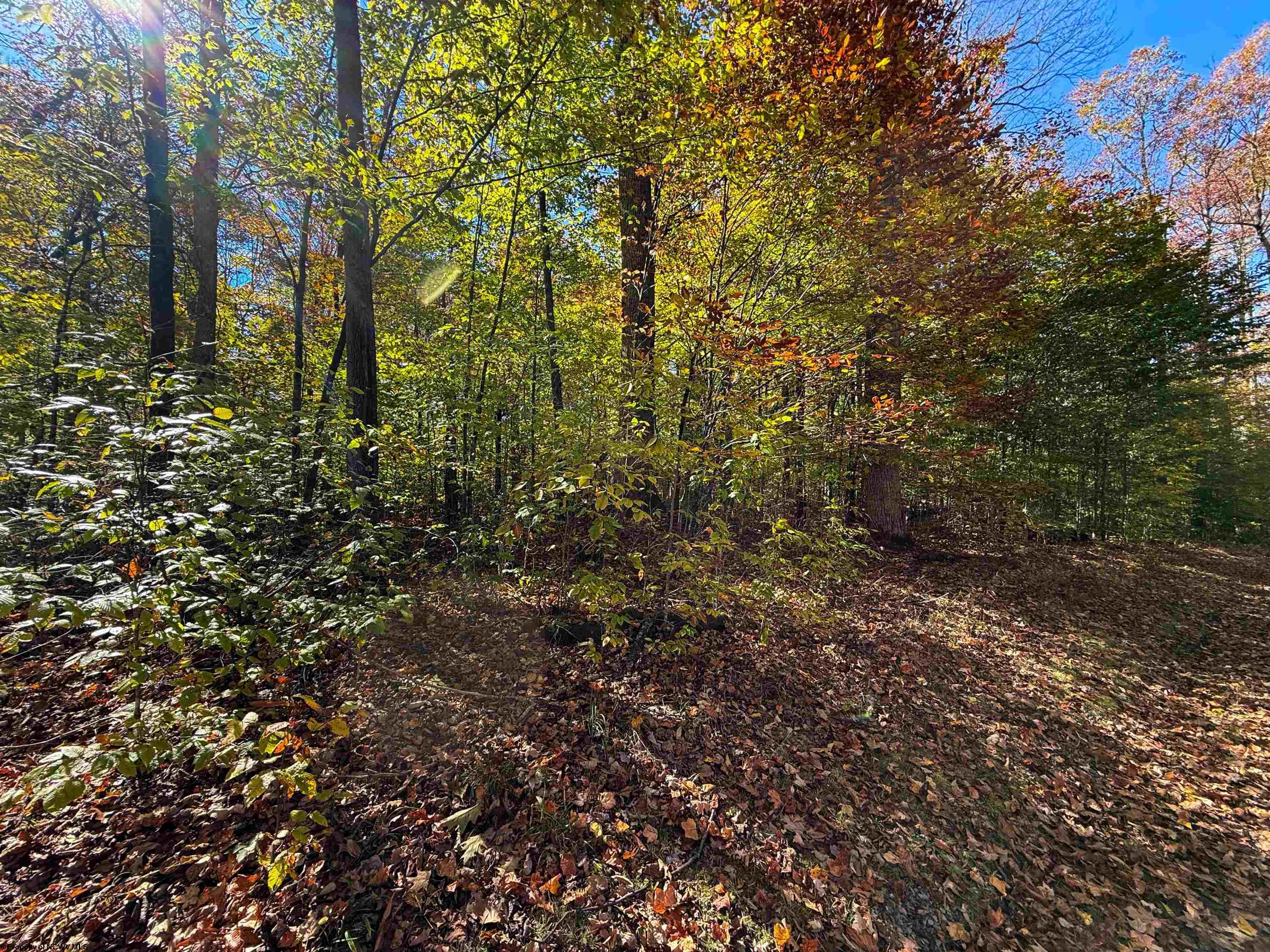 17 Palmer Circle Bowden WV 26254