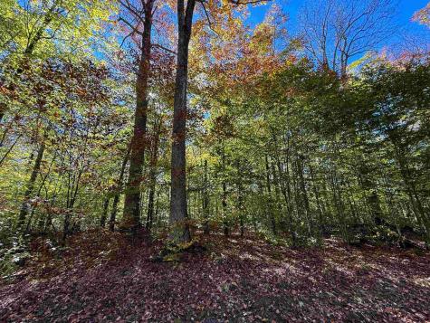 17 Palmer Circle Bowden WV 26254