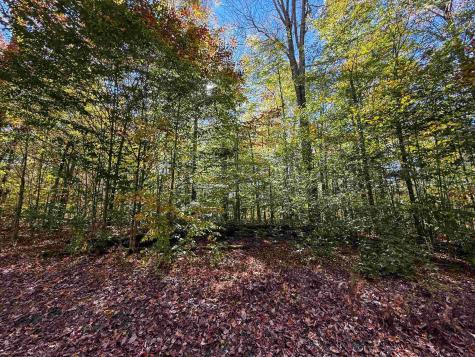 17 Palmer Circle Bowden WV 26254