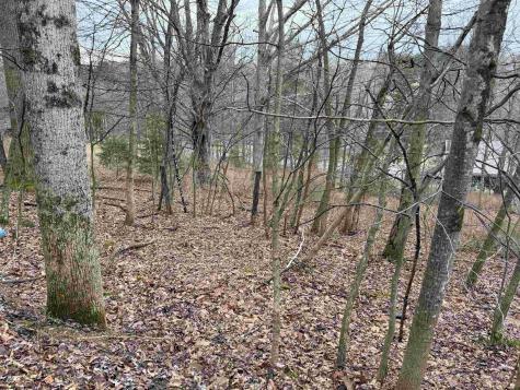 0 Elliott Avenue Belington WV 26250