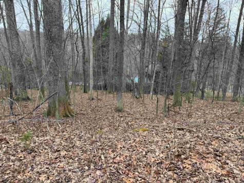 0 Elliott Avenue Belington WV 26250