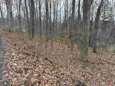 0 Elliott Avenue Belington WV 26250