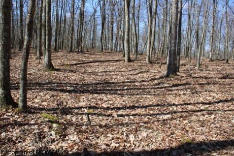 4 Sand Bank Heights Road Masontown WV 26542
