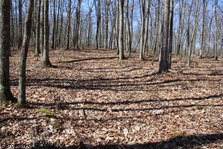 4 Sand Bank Heights Road Masontown WV 26542