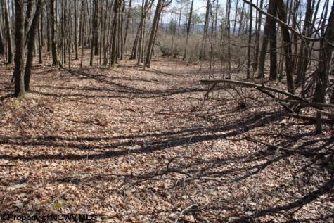 4 Sand Bank Heights Road Masontown WV 26542