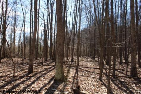 4 Sand Bank Heights Road Masontown WV 26542