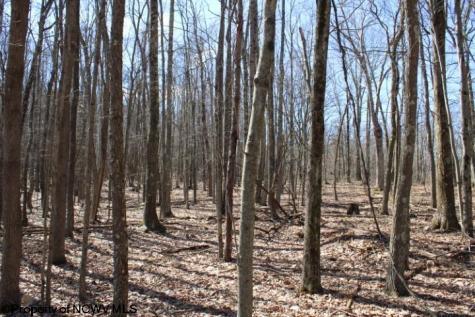 4 Sand Bank Heights Road Masontown WV 26542
