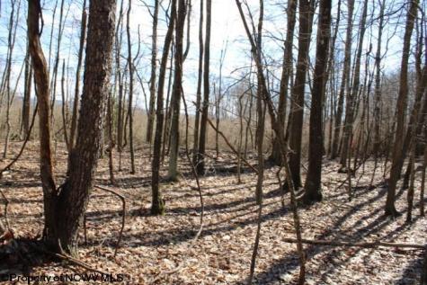4 Sand Bank Heights Road Masontown WV 26542