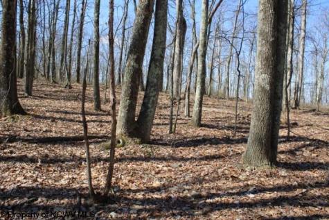 4 Sand Bank Heights Road Masontown WV 26542
