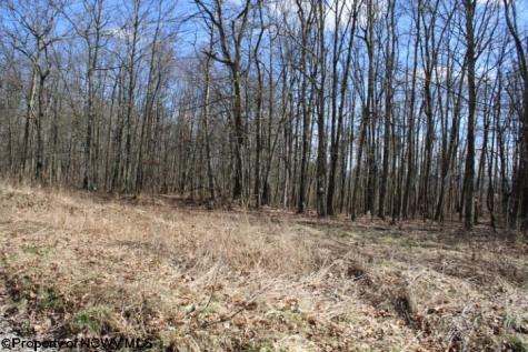 4 Sand Bank Heights Road Masontown WV 26542