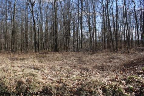 4 Sand Bank Heights Road Masontown WV 26542