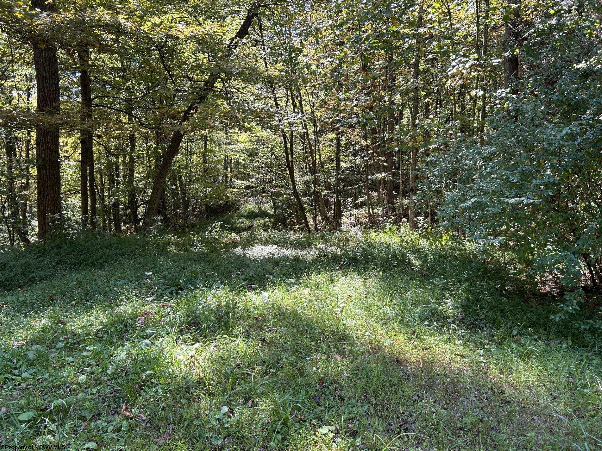 4 Possum Hollow Road Terra Alta WV 26764