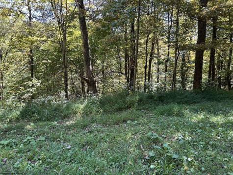 4 Possum Hollow Road Terra Alta WV 26764