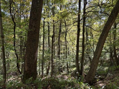 4 Possum Hollow Road Terra Alta WV 26764
