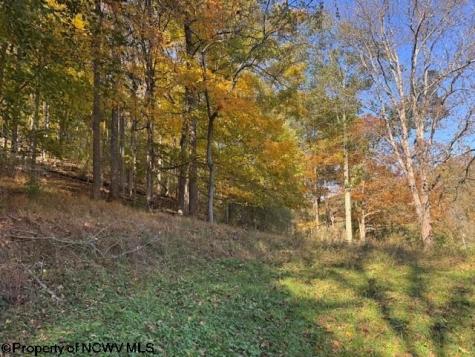 0 Wetstone Road Mannington WV 26582