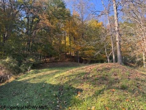 0 Wetstone Road Mannington WV 26582