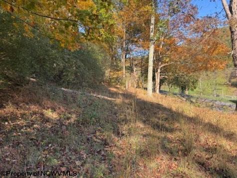 0 Wetstone Road Mannington WV 26582