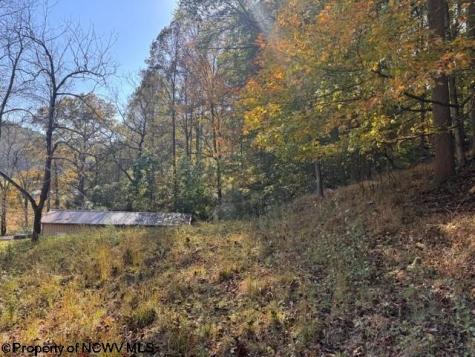 0 Wetstone Road Mannington WV 26582