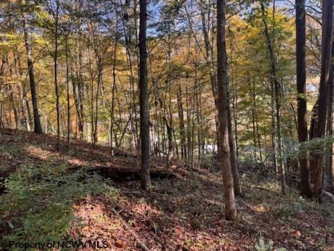 0 Wetstone Road Mannington WV 26582