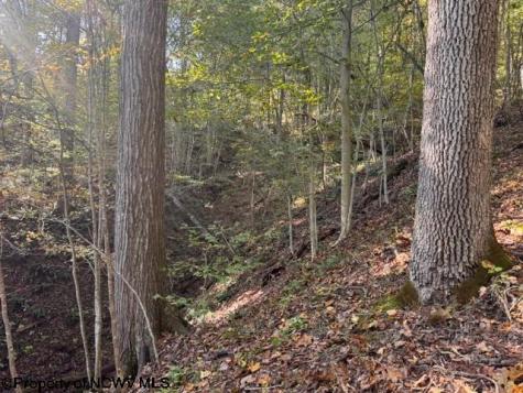 0 Wetstone Road Mannington WV 26582