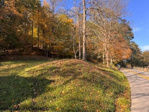 0 Wetstone Road Mannington WV 26582