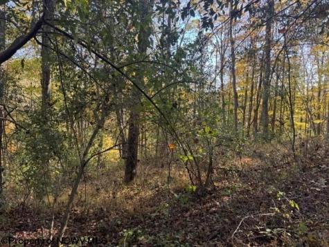 0 Wetstone Road Mannington WV 26582
