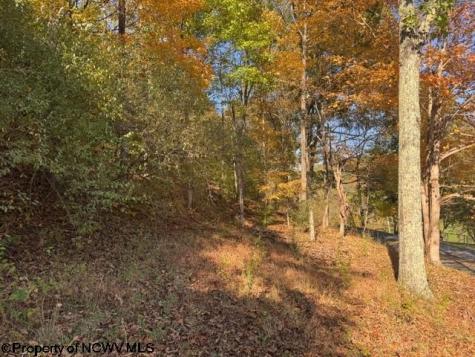 0 Wetstone Road Mannington WV 26582