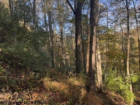 0 Wetstone Road Mannington WV 26582