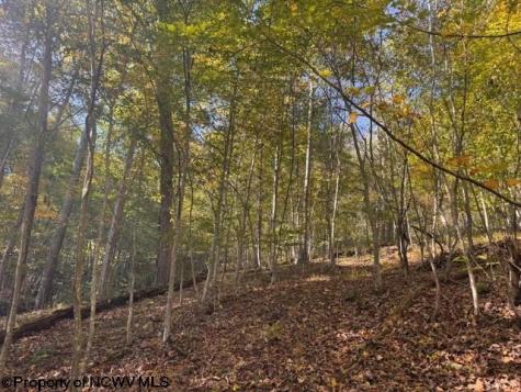 0 Wetstone Road Mannington WV 26582