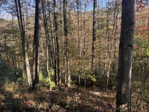 0 Wetstone Road Mannington WV 26582