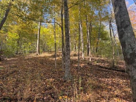 0 Wetstone Road Mannington WV 26582
