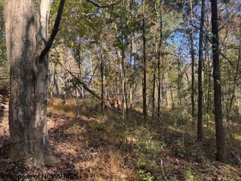 0 Wetstone Road Mannington WV 26582
