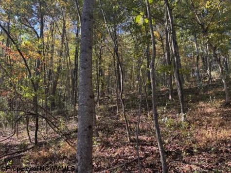 0 Wetstone Road Mannington WV 26582