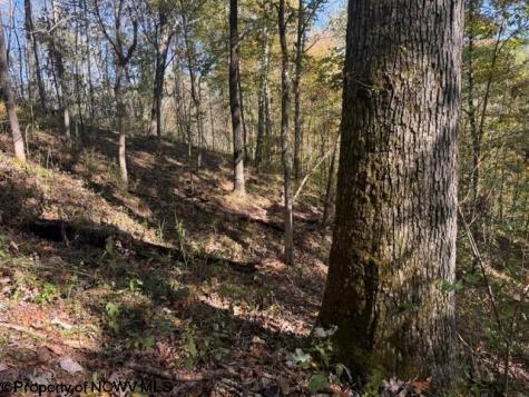 0 Wetstone Road Mannington WV 26582