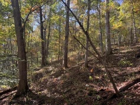 0 Wetstone Road Mannington WV 26582