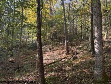 0 Wetstone Road Mannington WV 26582