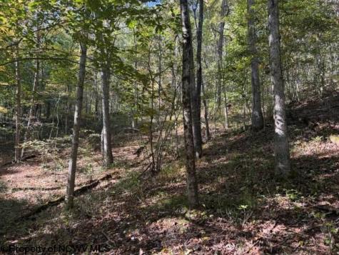 0 Wetstone Road Mannington WV 26582