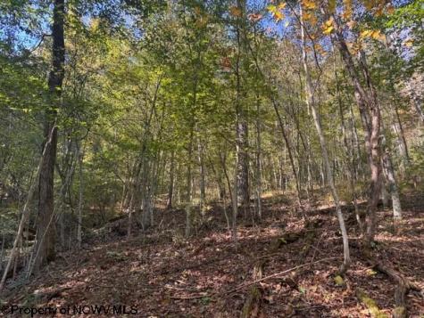 0 Wetstone Road Mannington WV 26582