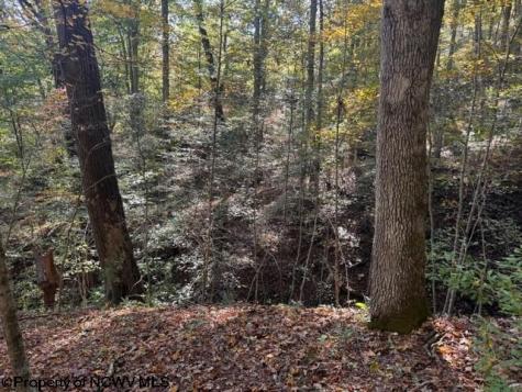 0 Wetstone Road Mannington WV 26582