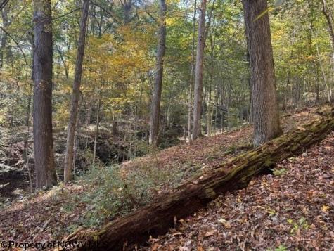 0 Wetstone Road Mannington WV 26582