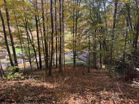 0 Wetstone Road Mannington WV 26582
