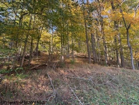0 Wetstone Road Mannington WV 26582