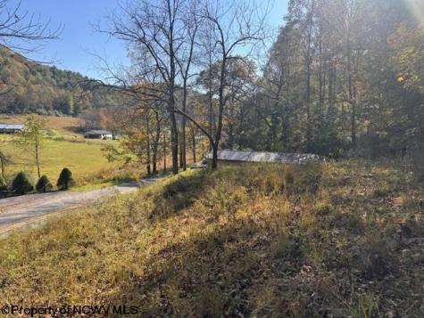 0 Wetstone Road Mannington WV 26582
