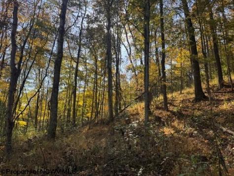 0 Wetstone Road Mannington WV 26582